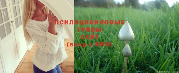 СК Тында