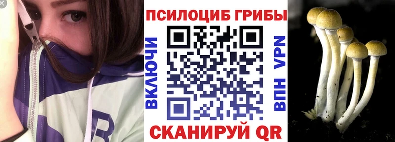 Галлюциногенные грибы мицелий  где купить наркоту  Урень 